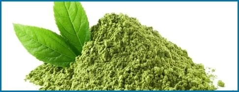 Banaba ingredient used in Blood Sugar Blaster