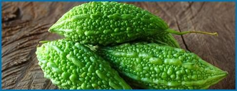Bitter Melon ingredient used in Blood Sugar Blaster